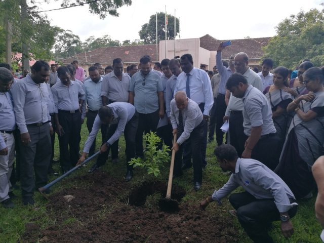 Commencement of Work & Special Sandalwood Tree Planting – 2020